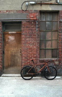 The Rust Bike: Rusty and Beautiful