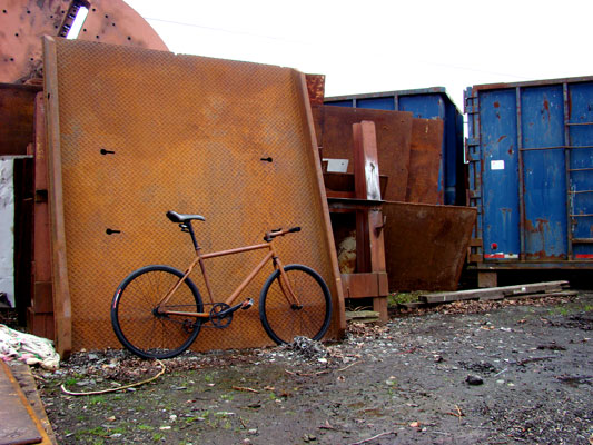 The Rust Bike: Rusty and Beautiful